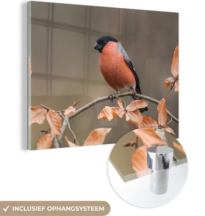 MuchoWow® Glasschilderij 40x30 cm - Schilderij acrylglas - Vogel - Bladeren - Herfst - Goudvink - - Foto op glas - Schilderijen