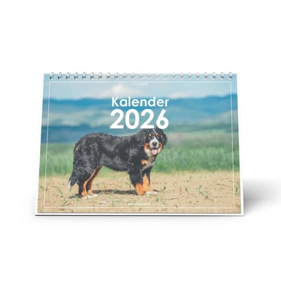 Huurdies - Bureaukalender 2026 - Berner Sennenhond