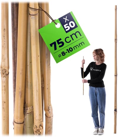 KADAX bamboestokken 75 cm x 8/10 mm, set van 50, plantenstokken van bamboe, bamboestokken als klimsteun voor tomatenplanten en klimplanten, tomatensteunen