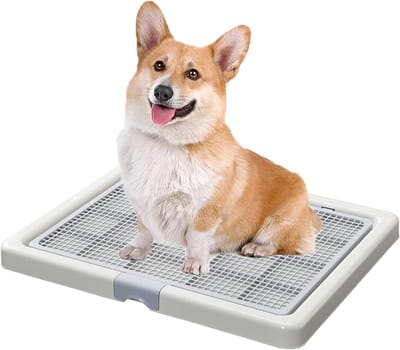 Hondentraining Toilet voor Middelgrote Honden - Plastic Plasbak met Rooster
