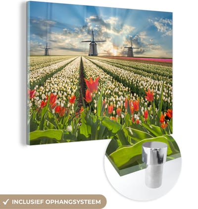 MuchoWow® Glasschilderij 40x30 cm - Schilderij acrylglas - Windmolen - Tulpen - Lucht - Natuur - Foto op glas - Schilderijen
