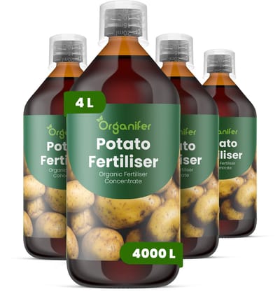 Vloeibare Meststof Voor Aardappel 4X1 L Voor 4000 L - Npk 3-4-3 - Ondersteunt Krachtige Vroege Groei En Uniforme Knolontwikkeling - Verbetert Wortelactiviteit En Efficiënte Knolaanleg - Verbetert Knolvastheid - Organifer