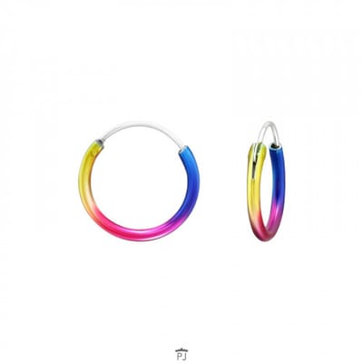 WeLoveSilver - zilveren kinderoorringen - regenboogkleuren - 21 mm