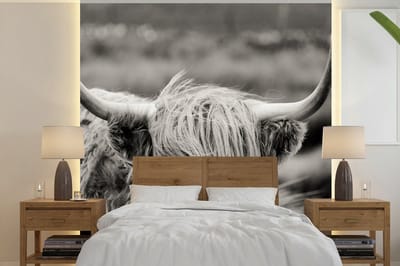 Behang - Fotobehang Schotse hooglander - Koe - Dieren - Zwart wit - Landelijk - Breedte 300 cm x hoogte 300 cm