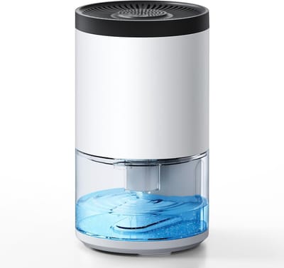 Draagbare Mini Luchtontvochtiger 1000ml voor Slaapkamer en Badkamer