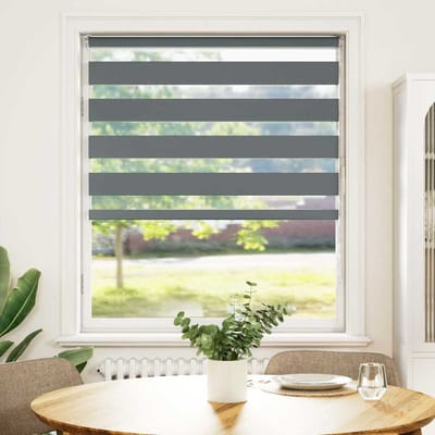 vidaXL - Zebra - rolgordijn - 100x150 - cm - stofbreedte - 95,9 - cm - donkergrijs