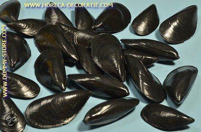 Mosselen,  24 stuks - Visdummy