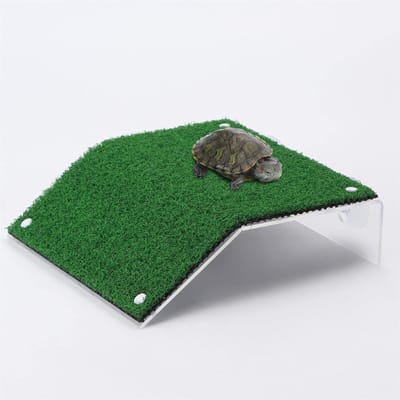 Allecto - Schildpad zonplatform - Realistisch klimplatform met ladder - Groene kleur - Speelgoed voor kinderen - Stimuleert creativiteit en fantas