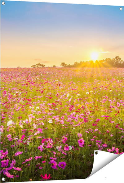 Gards Tuinposter Bloemenveld met Roze Kosmos - 80x100 cm - Tuindoek - Tuindecoratie - Wanddecoratie buiten - Tuinschilderij