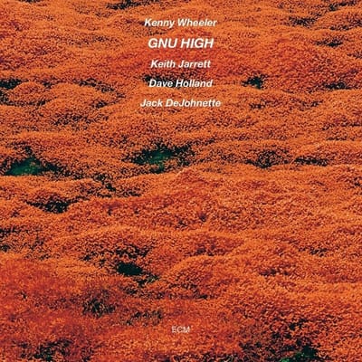Kenny Wheeler - Gnu High (CD)