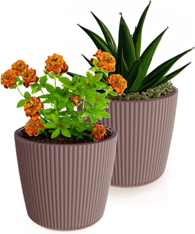 Prosperplast Plantenpot/bloempot Buckingham - 2x - buiten/binnen - terra - D23 x H21 cm