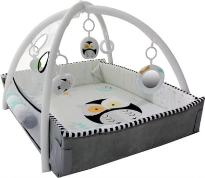 MamaLoes 5-in-1 Multifunctioneel Speelkleed / Ballenbak - Buikligtrainer - Babygym - Speelmat met Boog - Uiltjes