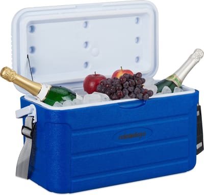 koelbox - 20 l - 29 x 52,5 x 26,5 cm - onderweg - schouderband en handvat - niet elektrisch