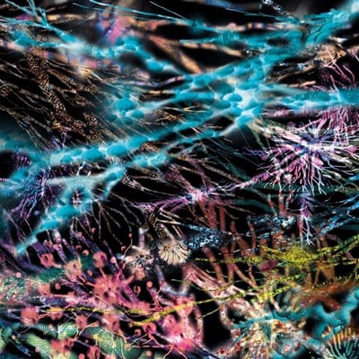 LCSM (Likwid Continual Space Motion) - The Remedy (3 LP)