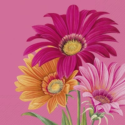 IHR Lunch servetten - Joyful Gerbera Pink