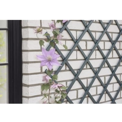 Treillis extensible - NATURE - En plastique Anthracite - 50 x 150 cm