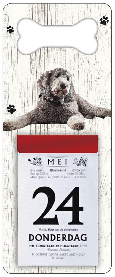 Scheurkalender 2027 Hond: Labradoodle