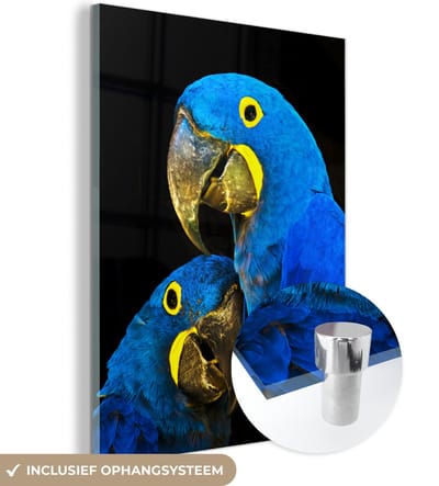 MuchoWow® Glasschilderij 120x160 cm - Schilderij acrylglas - Papegaai - Vogel - Veren - Blauw - Foto op glas - Schilderijen