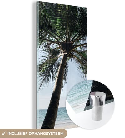 MuchoWow® Glasschilderij 60x120 cm - Schilderij acrylglas - Palmboom - Lucht - Tuinposter - Tuin - Decoratie tuin - Foto op glas - Schilderijen