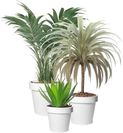 Mega Collections Plantenpotten bloempotten set - 3x stuks - kunststof - wit - Tuin - Diameters 25-30-35 cm