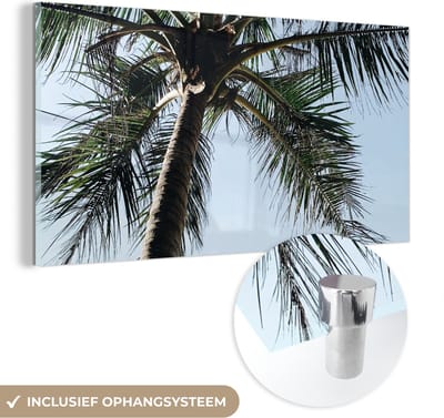 MuchoWow® Glasschilderij 120x60 cm - Schilderij acrylglas - Palmboom - Lucht - Tuinposter - Tuin - Decoratie tuin - Foto op glas - Schilderijen