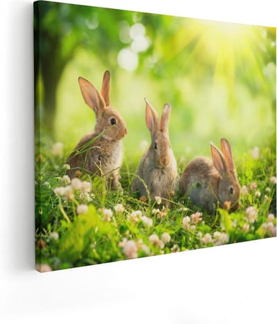 Artaza Canvas Schilderij Konijnen In Het Gras - 50x40 cm - Wanddecoratie Woonkamer - Muurdecoratie Bloemen - Kamer Accessoires