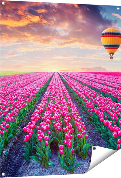 Gards Tuinposter Bloemenveld met Roze Tulpen - Luchtballon - 80x100 cm - Tuindoek - Tuindecoratie - Wanddecoratie buiten - Tuinschilderij
