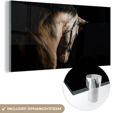 MuchoWow® Glasschilderij 40x20 cm - Schilderij acrylglas - Paarden - Halster - Zwart - Foto op glas - Schilderijen