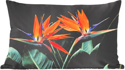 Sierkussens - Kussentjes Woonkamer - 60x40 cm - Paradijsvogel - Bloem - Exotisch