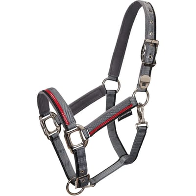 Nylon halster en longe voor paard in nylon Equestro