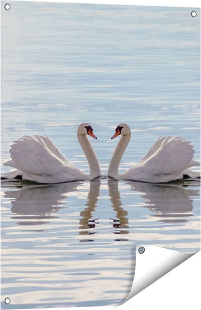 Gards Tuinposter Zwanen Koppel op het Water - 60x80 cm - Tuindoek - Tuindecoratie - Wanddecoratie buiten - Tuinschilderij