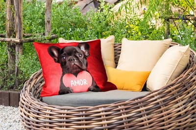 Buitenkussens - Tuin - Amor - Hond - Hartje - Rood - 50x30 cm