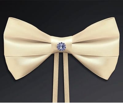 Partydeco - Strik ivoor steentje (4st)