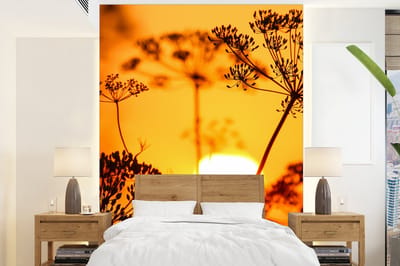 Behang - Fotobehang Planten - Bloemen - Zonsondergang - Oranje - Breedte 165 cm x hoogte 220 cm