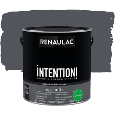 Renaulac Intention Muurverf - Extra Mat - Faith - 2,5l