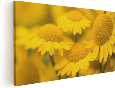 Artaza Canvas Schilderij Bloemen - 40x20 cm - Klein - Wanddecoratie Geel - Muurdecoratie Bloemen Woonkamer - Schilderij Bloemen Close-Up