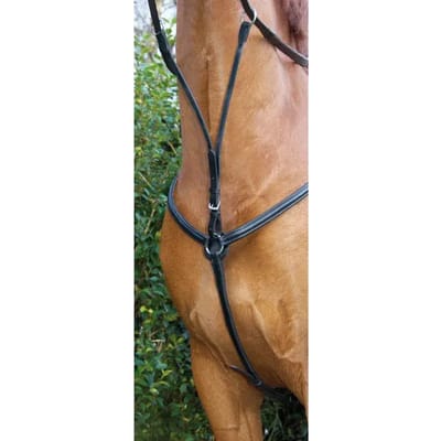 Gevoerde jachthalsband voor paarden T de T