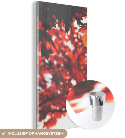 MuchoWow® Glasschilderij 20x40 cm - Schilderij acrylglas - Herfstbladeren - Landelijke decoratie - Zon - Foto op glas - Schilderijen