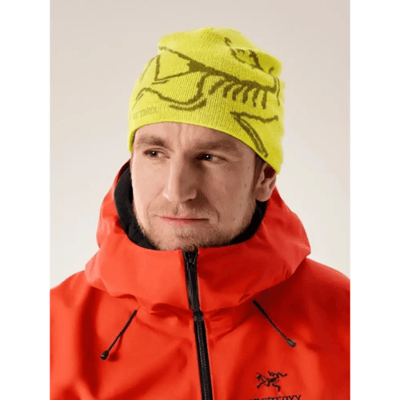 Arc'Teryx Arc´teryx Bird Head Toque (Maat - OS, Kleur - Euphoria / Olive Moss)