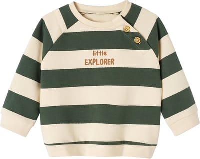 Vertbaudet Gestreept sweatshirt van molton baby