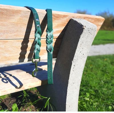 Cooper & Quint Twisted - Hondenriem gevlochten leer - Groen - 140cm - Zilver