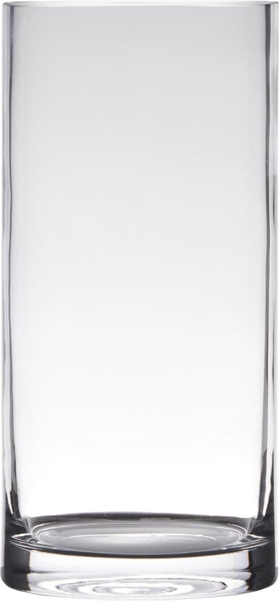 Hakbijl Glass Vaas - cilinder - glas - transparant - 15 x 35 cm - Bloemen/takken/boeketten vazen
