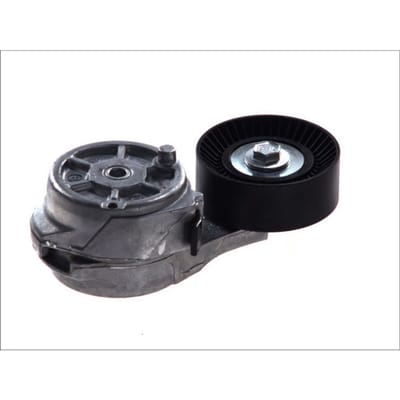 Riemspanner, Poly V-riem DAYCO APV2486