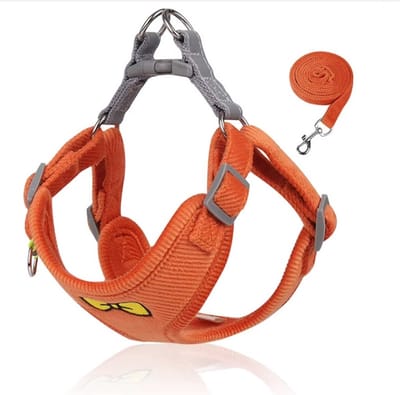 Soft pluche Hondentuigje + looplijn - Comfort - Oranje - XL