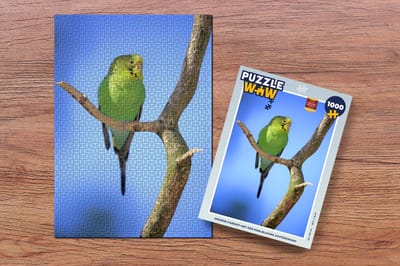 Puzzel Groene parkiet met een knalblauwe achtergrond - Legpuzzel - Puzzel 1000 stukjes volwassenen