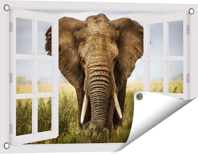 Gards Tuinposter Doorkijk Olifant in het Wild - Kleur - 60x40 cm - Tuindoek - Tuindecoratie - Wanddecoratie buiten - Tuinschilderij