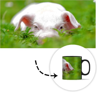 Magische Mok - Foto op Warmte Mokken - Koffiemok - Varken - Dieren - Big - Magic Mok - Beker - 350 ML - Theemok