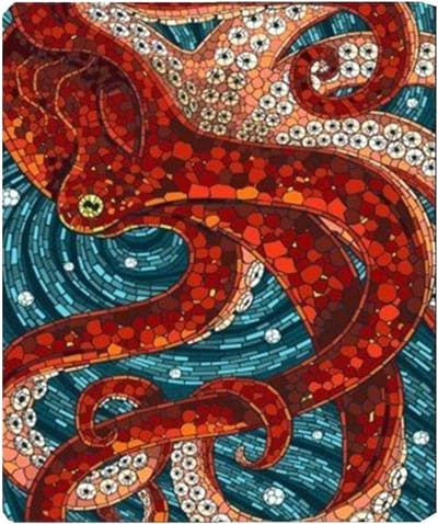 Warm fleece plaid met octopus design, ideaal voor reizen en als dekentje op de bank, 200cm x 150cm, rood en zwart