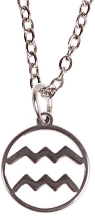 Ketting Zilverkleurig 55cm - Hangertje Sterrenbeeld RVS - Waterman