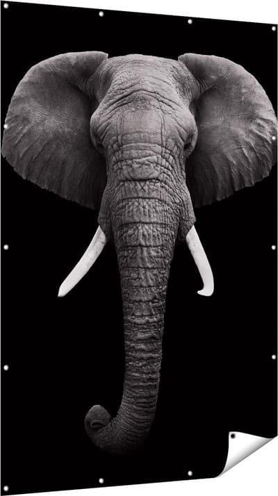 Gards Tuinposter Olifantenkop - Olifant - Zwart Wit - 120x180 cm - Tuindoek - Tuindecoratie - Wanddecoratie buiten - Tuinschilderij